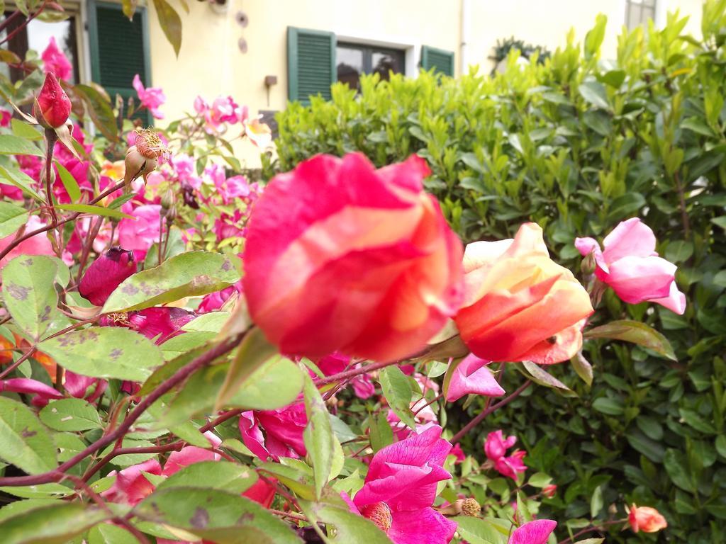 הוילה ולנצה Agriturismo Cascina Nuova מראה חיצוני תמונה