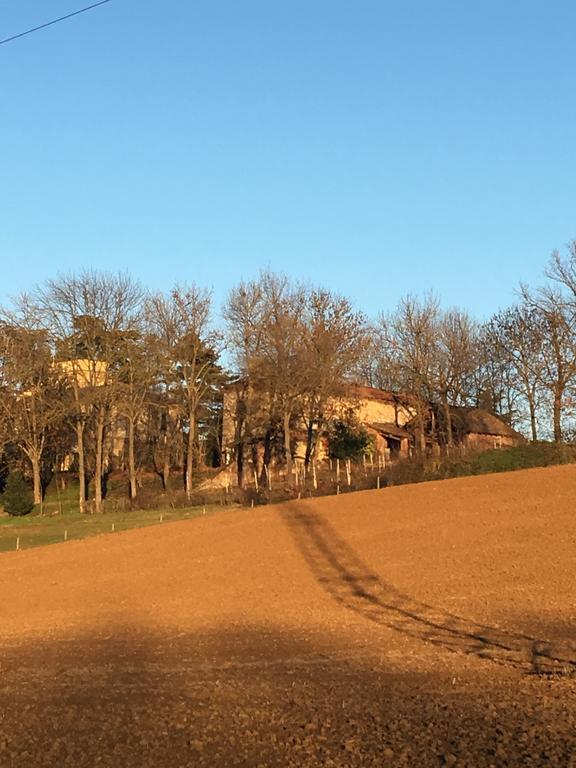 הוילה ולנצה Agriturismo Cascina Nuova מראה חיצוני תמונה